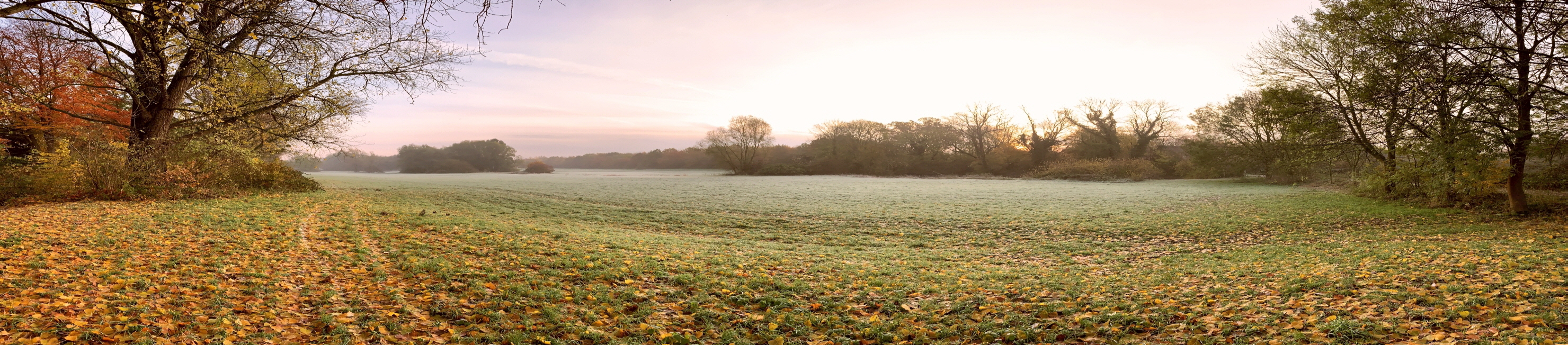 BoeckumWiese-2960x652_8644