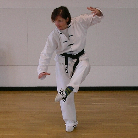 Der fliegende Drache erhebt sich aus den �bungen des Inneren Elixiers  [Nei-Dan] der Wudang-Schule