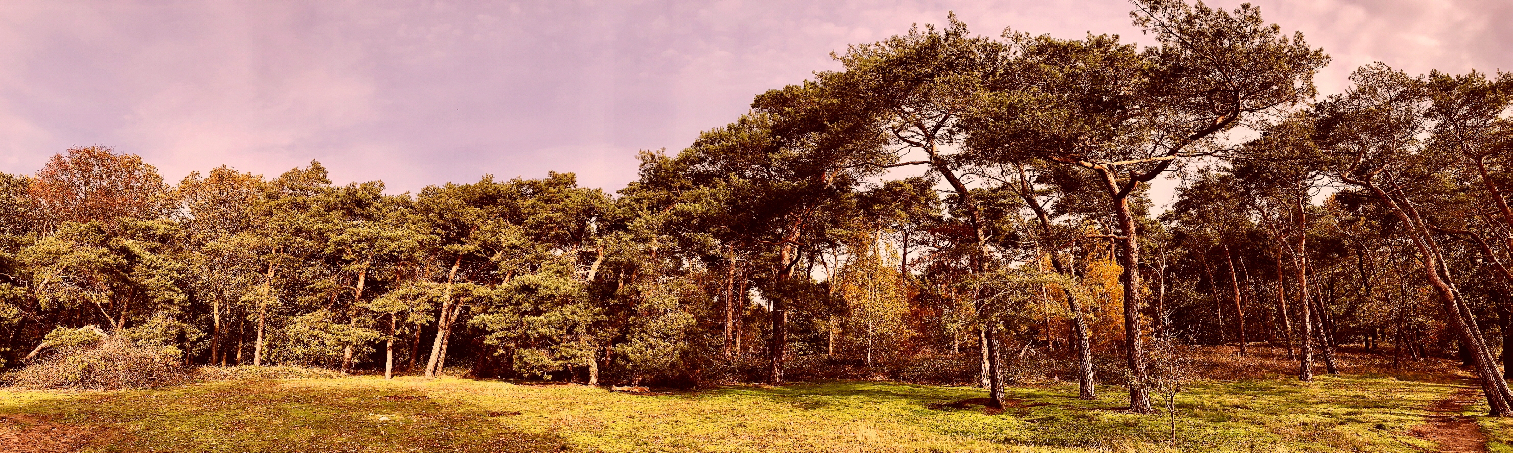 Heidberg-2020-2960x888_8456