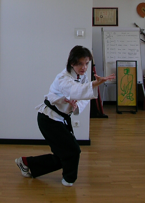 Kung-Fu im Tao-Chi, das 5-Elemente-Boxen