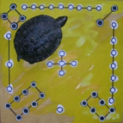 Lo-Shu, das Schildkrötendiagramm