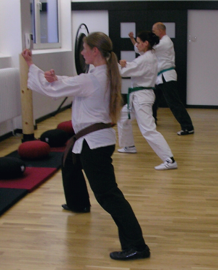 Kung-Fu, der Weg des Drachen ... Bilder aus der Langen Form