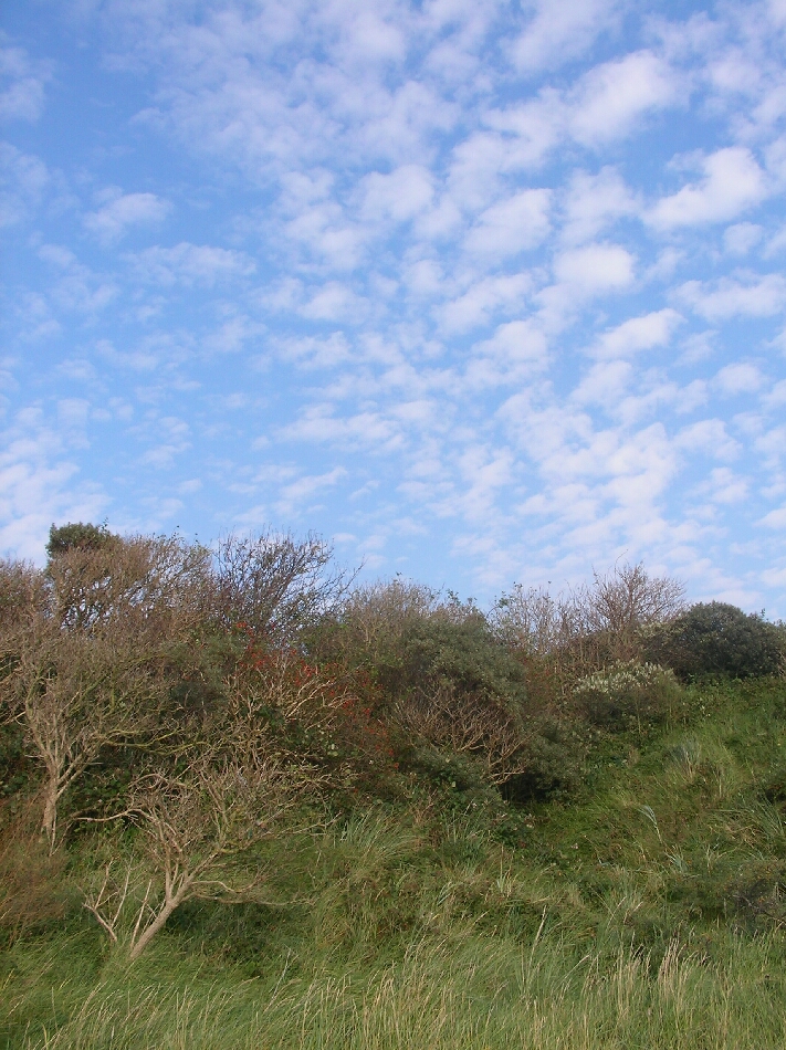 Wind und Wolken - Tao - einem Weg folgen ...