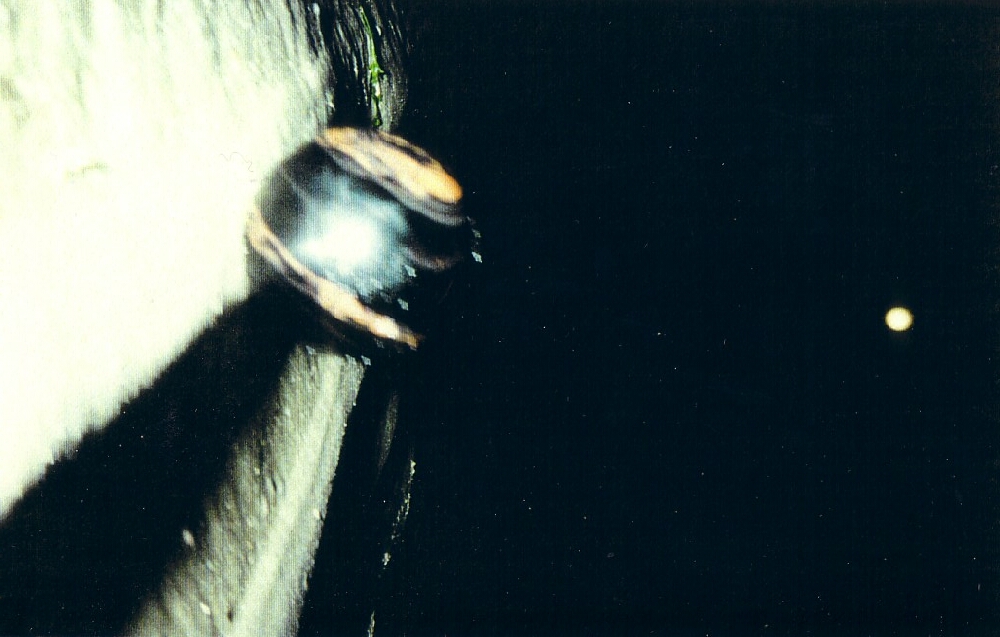 Vollmond 