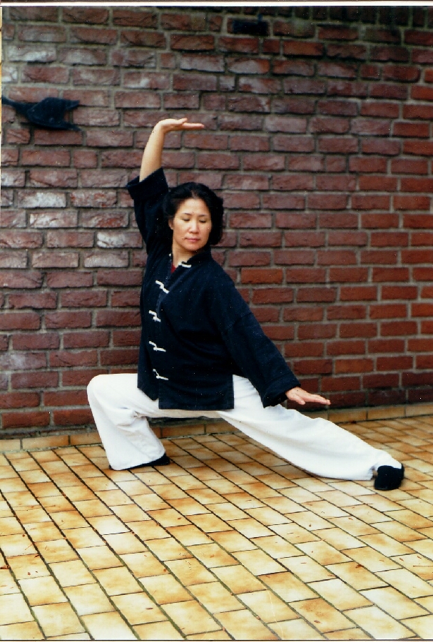Ocka Song, Qigong im Kung-Fu