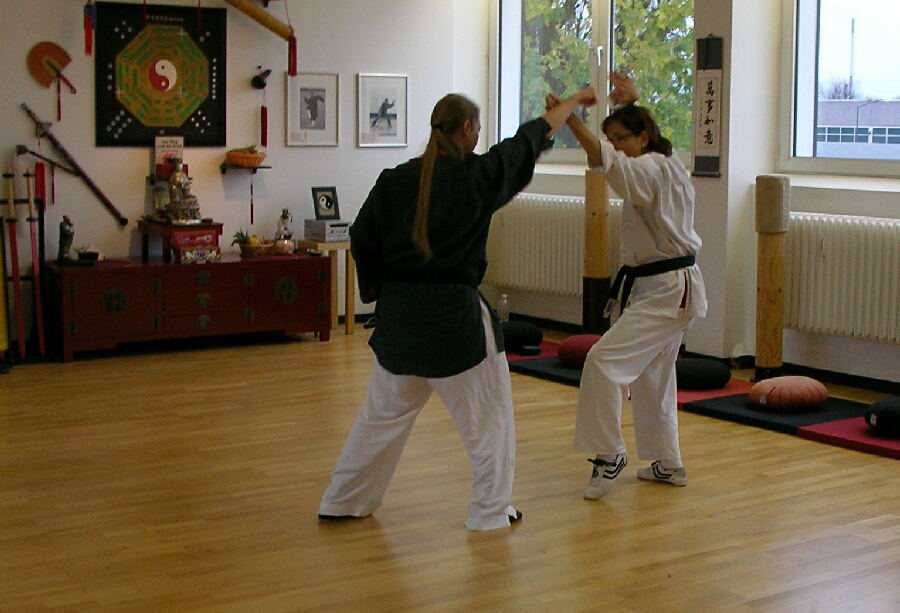 Anja & Heike. Kung-Fu im Drachenstil. Partnerübungen [Pockecks]