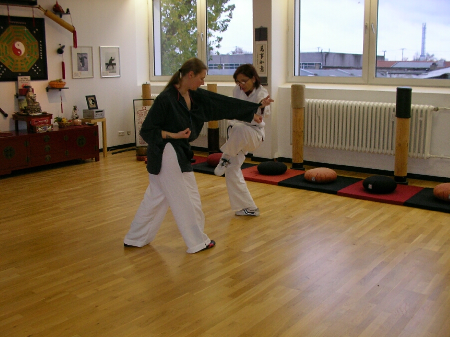 Anja & Heike. Kung-Fu im Drachenstil. Partnerübungen [Pockecks]