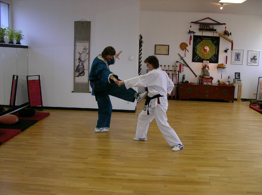 Pockeck - Partnerübungen im Kung-Fu des Drachenstils