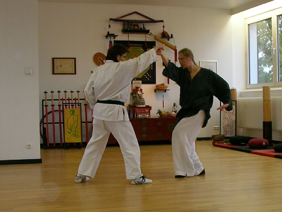 Anja & Heike. Kung-Fu im Drachenstil. Partner�bungen [Pockecks]