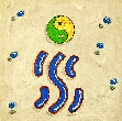 shui, das Element Wasser