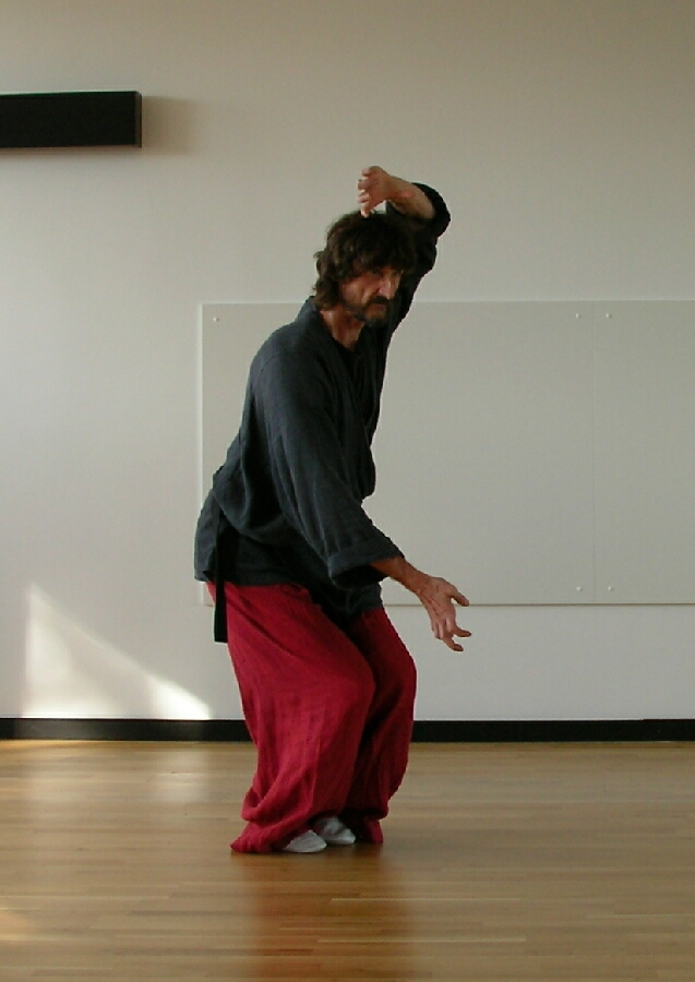 ... die Disziplin des Drachen  ... Freihandübungen im Shaolin - Qigong, Energiearbeit, Geistesschule, Meditation