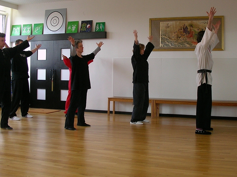 Michuan-Taijiquan_das-Tai-Chi-der-Wudang-Berge_Seminare-2012-II-001-960x720