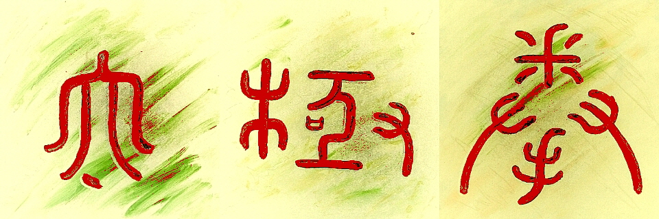 TaiJiQuan, Kalligraphie 960x320 W