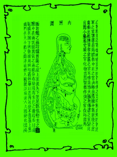 Darstellung innerer Anatomie, Tao-Tzang Archiv zur Inneren Alchimie