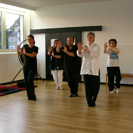 Michuan-Taijiquan_Wudang-Tai-Chi-076-450