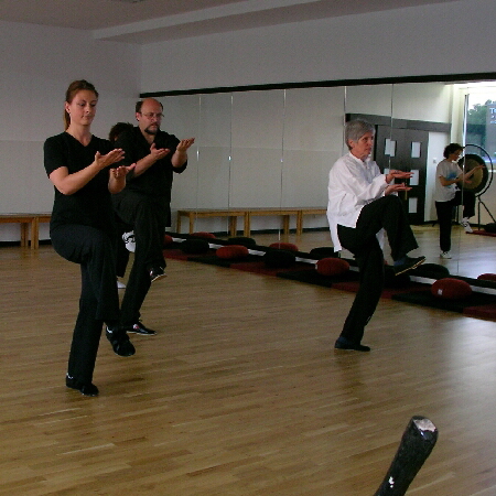 Michuan-Taijiquan_Wudang-Tai-Chi-115-450