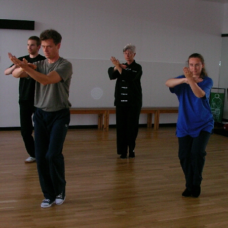 Michuan-Taijiquan_Wudang-Tai-Chi-152-450