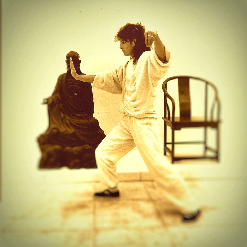 Tao-Chi monatsaktuell - Willkommen auf den Webseiten von www.tao-chi.info, Schule fr Kung-Fu und Tai-Chi, Qigong und Meditation. Seit 1988 der Treffpunkt fr Kampfkunst, Lebenspflege und Philosophie in Duisburg Neudorf