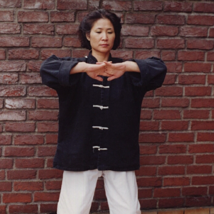 Willkommen zur Seminar�bersicht Qigong, auch Daoyin genannt, Atemschule und Heilgymnastik, Energiearbeit und Meditation - �bungen zur Pflege der pers�nlichen Mitte  und Entwicklung innerer Kraft
