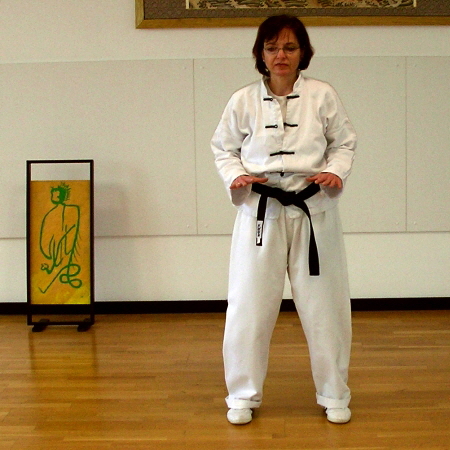 Elixier-Heike-25-die-WuJi-Position-450Q Elixier-Heike-25-die-WuJi-Position-450Q