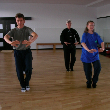 Michuan-Taijiquan_Wudang-Tai-Chi-168-450Q Michuan-Taijiquan_Wudang-Tai-Chi-168-450Q