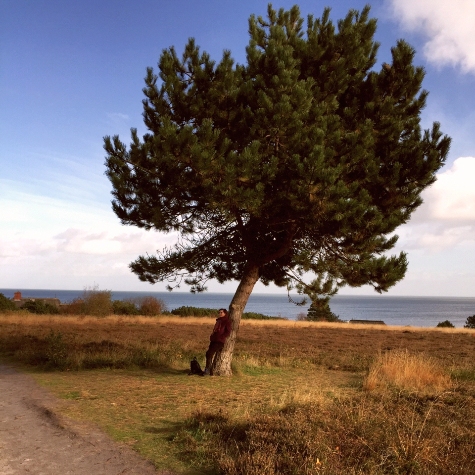 #TAO means finding Friends among Trees Sylt (6170) 960Q