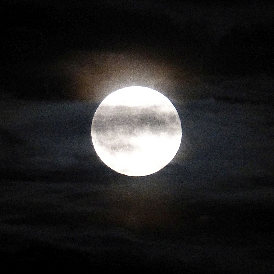 Ein Foto vom ersten Vollmond im August 2023 (440608) 960Q