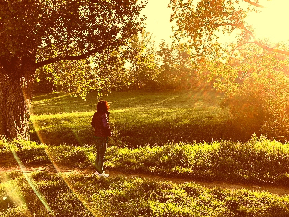 TAO means - Meditation Pur, Kaiserswerth April 2020 960x720