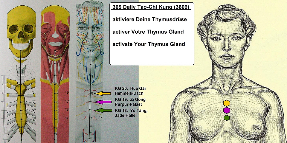 #365 Activate the Thymus Gland KG-18-19-20_Jade-Halle_Purpur-Palast_Himmels-Dach 960x480 #365 Activate the Thymus Gland KG-18-19-20_Jade-Halle_Purpur-Palast_Himmels-Dach 960x480
